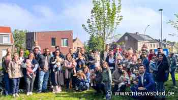 92 piepjonge Wijnegemnaartjes kunnen samen groeien met en schuilen onder eigen esdoorn