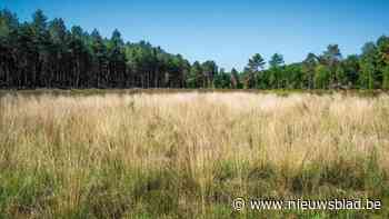Minister Brouns maakt 2,4 miljoen euro vrij voor Nationale Parken: “Helft gaat naar Limburg als groene long van Vlaanderen”
