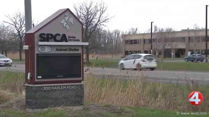 SPCA dog admissions temporarily closed