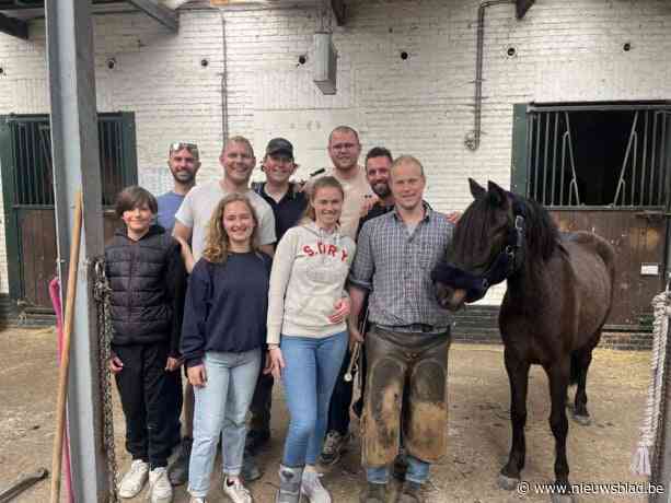 Hoefsmid-bruidegom momenteel bezig aan slopende wereldrecordpoging paarden bekappen: “Opbrengst naar vrijgezellenweekend”