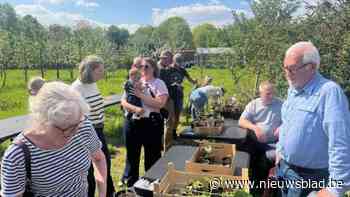 Gezellige drukte in Den Hof van Jeanne