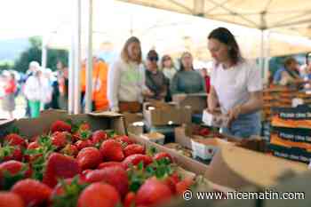 "C’est notre virée familiale", la fête des fraises se poursuit jusqu'à dimanche à Carros (et ce serait dommage de rater ça)