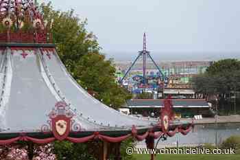 Beautiful park 12 miles from Newcastle with 'best ice cream' and seaside on the doorstep