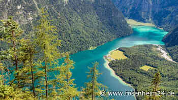 Betrunkene Camper aus München entfachen Feuer im Nationalpark – Großeinsatz am Königssee