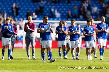 Cardiff City fans hurl anger at Vincent Tan as players in tears at final whistle