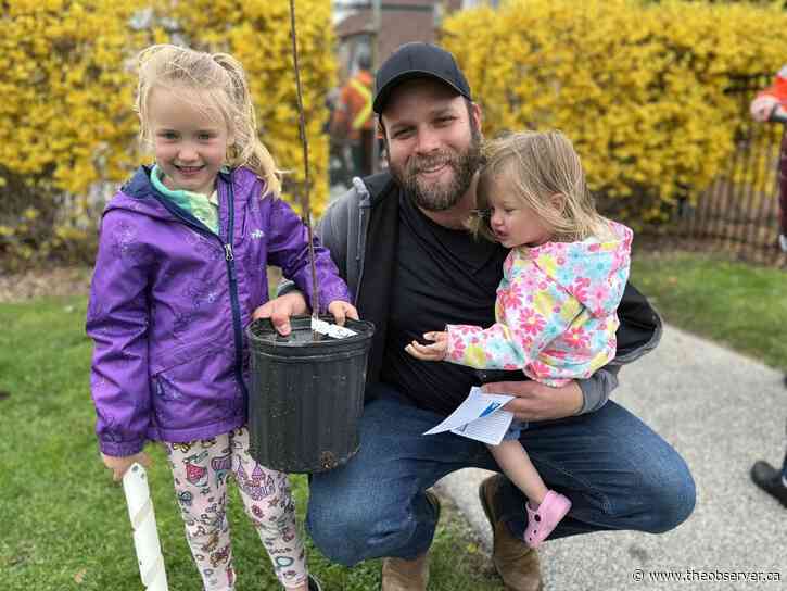 Sarnia’s free tree giveaway had ‘a great turnout’