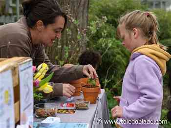 Photo Gallery: Go Green Day at the 577 Foundation in Perrysburg