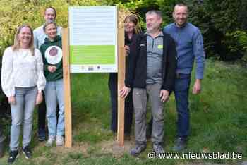 Volg het Veerkrachtpad voor een betere mentale gezondheid