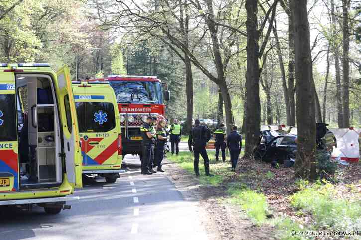 Drie gewonden nadat auto van de weg tegen boom botst