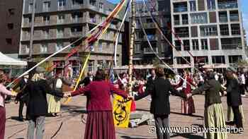 Meiboom tegen de vlakte tijdens Meifeesten in Genk: “Half uur later stond de boom alweer terug”