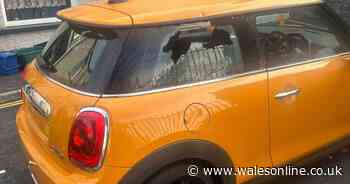 Just weeks after passing her test, teenagers smashed up her car