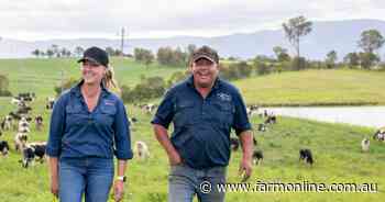 How a pair of dairy newcomers went from two cows to a herd of 400 Holsteins