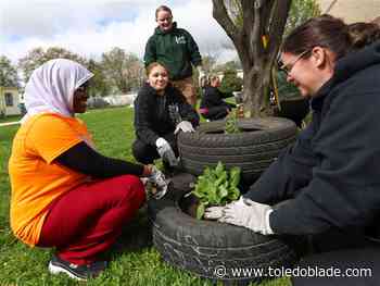 Photo Gallery: Global Youth Service Day in East Toledo