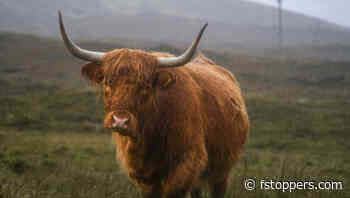 Understanding Raw and JPEG for Better Editing