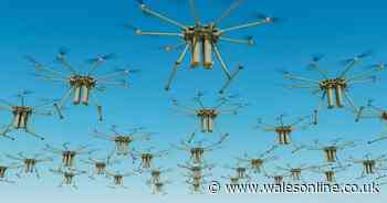 Seven items households 'should stockpile in case of grey zone attack'