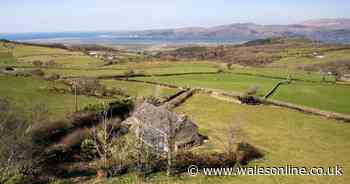 Remote rural cottage in secret spot has no neighbours or noise just glorious sea views