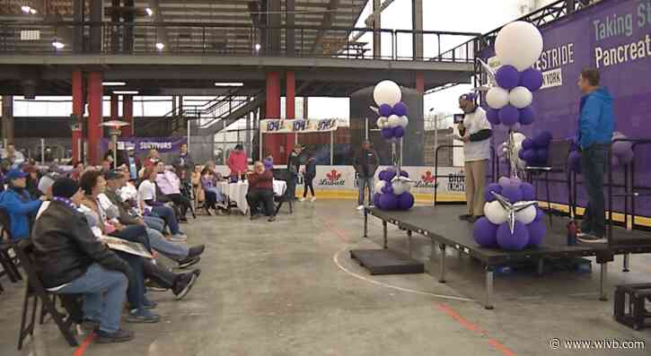 Hundreds gather for PanCAN PurpleStride walk