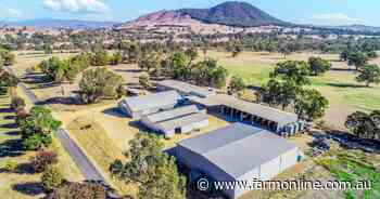 Mansfield seed cleaning business hits market - fully equipped, ready to go