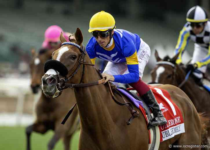 Public Assembly’s win at Santa Anita breaks Phil D’Amato’s slump