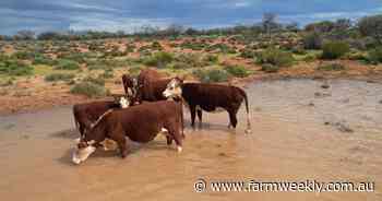 Canning Stock Route access opens opportunities for tourism on Cunyu station