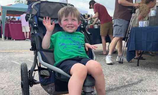 Large crowds gather for 17th annual Sunset Valley ARTFEST