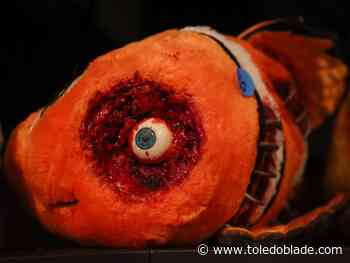 Photo Gallery: Half-O-Ween