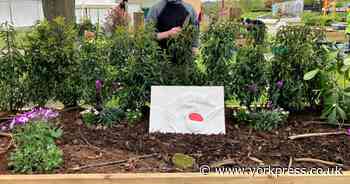On this day: stone carver unveils forest scene at Flower Show