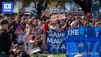 Crowds fill Hobart's Parliament House lawns to rally against salmon industry