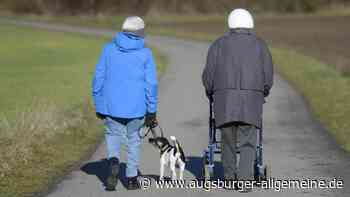Zu alt für einen Hund? Das sagen die Tierheime der Region