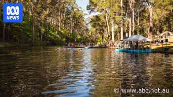 Sauna proposal for Pemberton comes as region pivots for wellness dollar