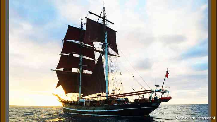 Als het werkt: paardenbreedten