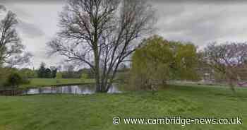 The Cambridge picnic hotspot that was once filled with lines of washing