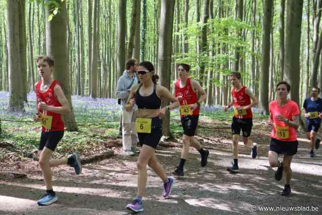 Meer dan duizend deelnemers aan Hyacintentrail door paarse Hallerbos