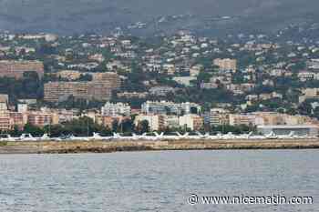 Créer une aire marine protégée au bord de la ville de Nice, pour protéger quoi?