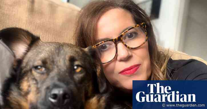 ‘I think I’m about to die, then I see a white flash and Henry is on the bear’s back’: the hero dogs who save lives