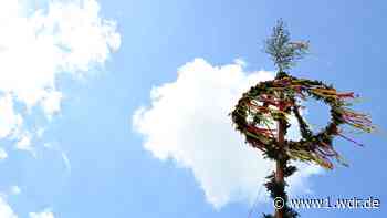 21-Jähriger ramponiert mit Maibaum 13 geparkte Autos