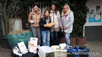 „Sie sind auf uns angewiesen“: So setzen sich Emma (11) und Louisa (12) aus Grünthal für Tiere ein