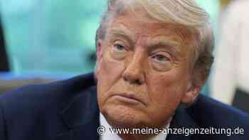 Wegen Trump: Ex-Botschafterin warnt vor „Erosion des geopolitischen Westens“