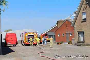 Zware brand in hoeve: 25 koeien komen om