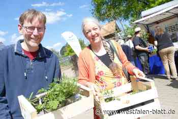 Pflanzlust auf dem Bio-Hof