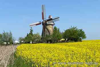 Bentorf startet in die Mühlensaison
