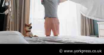 Exactly how often you should wash your bed sheets and what happens if you don't