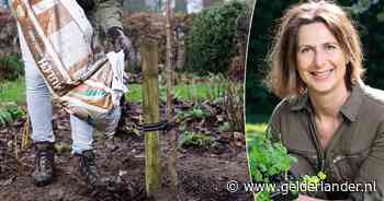 Waarom je tuin schoffelen geen goed idee is