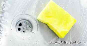 Kitchen sinks will stay fresh and odour-free if you add one cupboard staple