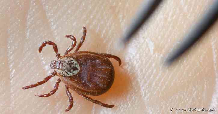 Gesundheitsministerin Gerlach wirbt für Zecken-Schutzimpfung