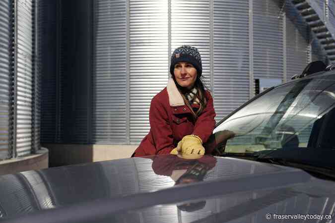 ‘It feels personal’: Canadian farmers cope with Chinese tariffs on canola and peas