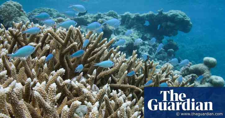 Trump order to loosen fishing regulations poses major risks, experts warn