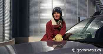 ‘It feels personal’: Canadian farmers cope with Chinese tariffs on canola and peas