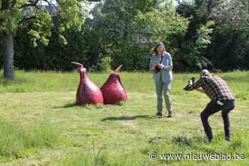 Veel volk voor zonovergoten openluchtkunstparcours: “Ideaal om praatje te slaan met de buren”