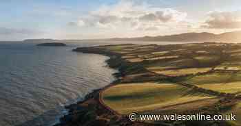 Stunning beachside pub has beer garden with one of the 'best views in the world'